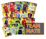 cards TEAM MATE -  UPDATE Fifa 365 2021  
