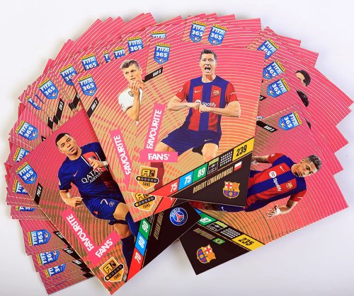 fans-40-1.jpg