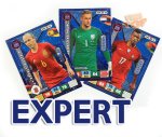 EXPERT cards select - ROAD to WORLD CUP Russia 2018  