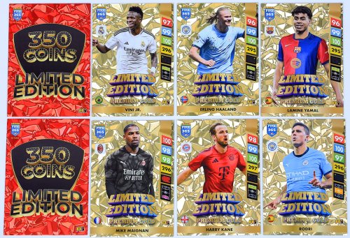 6-premium.jpg