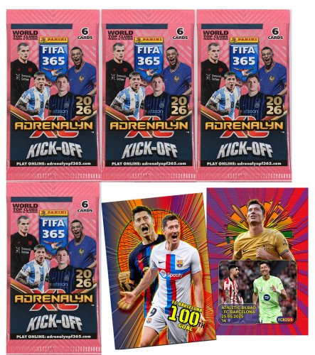 4-kick-lewy.jpg