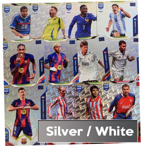 FANS-silver.jpg