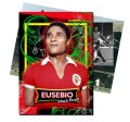faneusebio.jpg