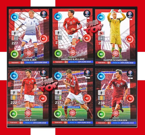 6-team-mate-danmark.jpg
ROAD TO EURO 2016 NORDIC EDITION Team MATE DANMARK