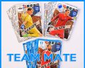 team-mate-x.jpg