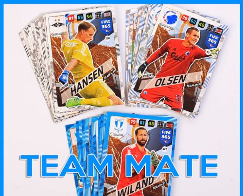 team-mate-x.jpg